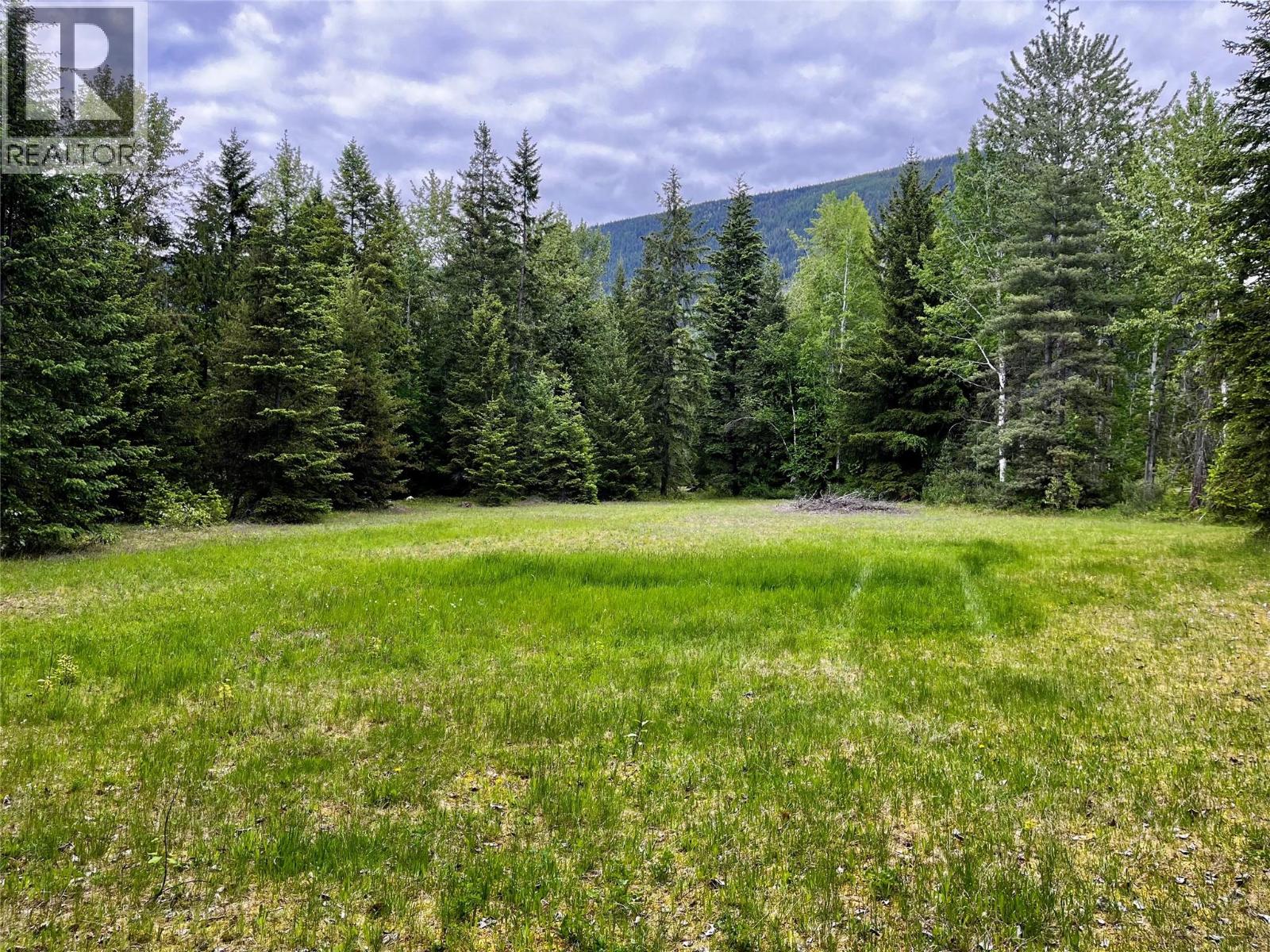 Lot A Mccormack Road, Burton, British Columbia  V0G 1R0 - Photo 43 - 10348053