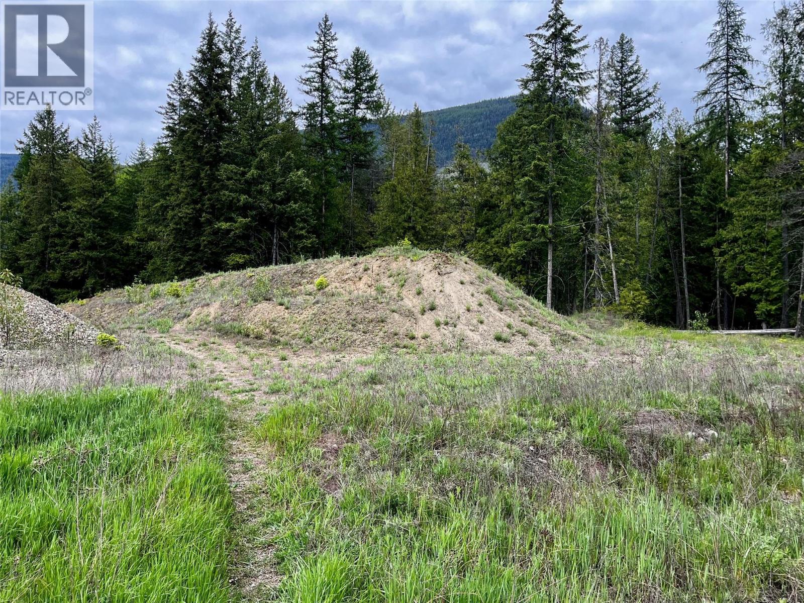 Lot A Mccormack Road, Burton, British Columbia  V0G 1R0 - Photo 50 - 10348053