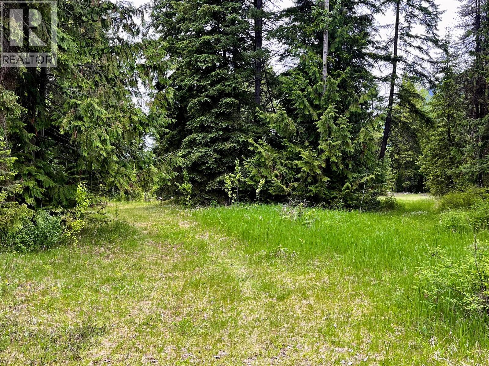 Lot A Mccormack Road, Burton, British Columbia  V0G 1R0 - Photo 41 - 10348053