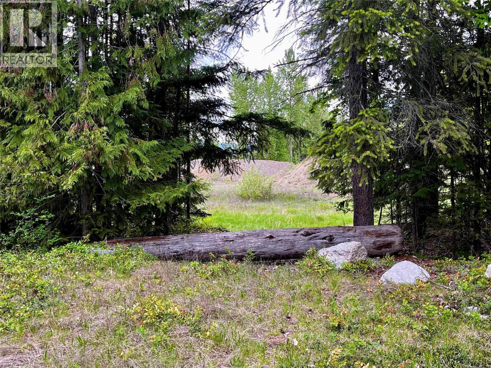 Lot A Mccormack Road, Burton, British Columbia  V0G 1R0 - Photo 59 - 10348053
