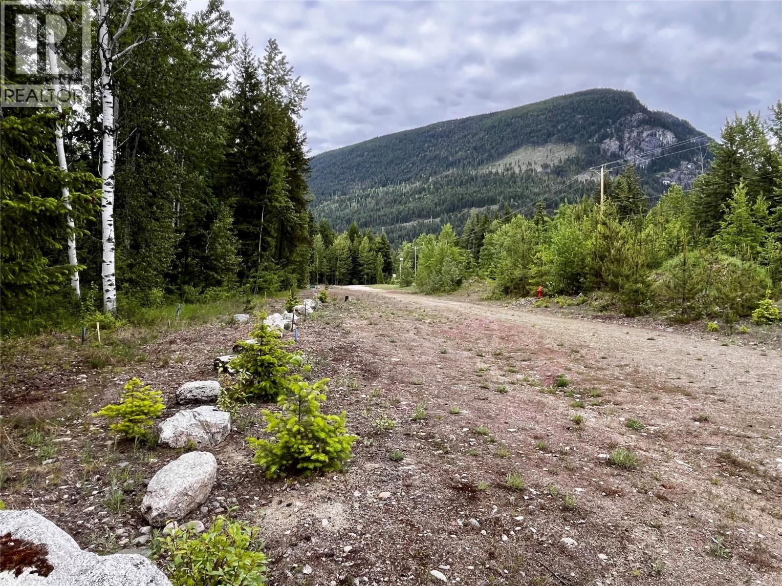 Lot A Mccormack Road, Burton, British Columbia  V0G 1R0 - Photo 62 - 10348053