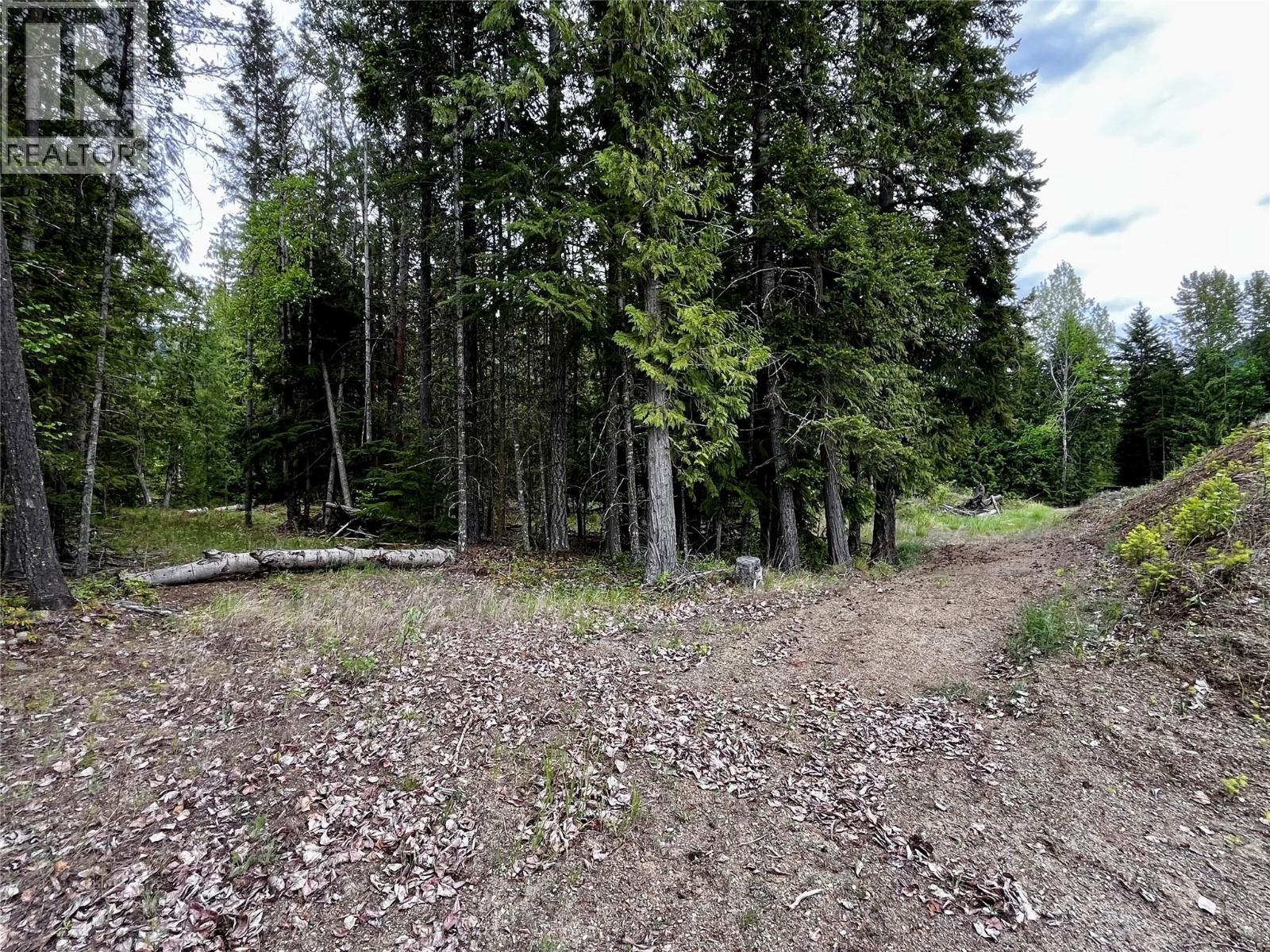 Lot A Mccormack Road, Burton, British Columbia  V0G 1R0 - Photo 55 - 10348053