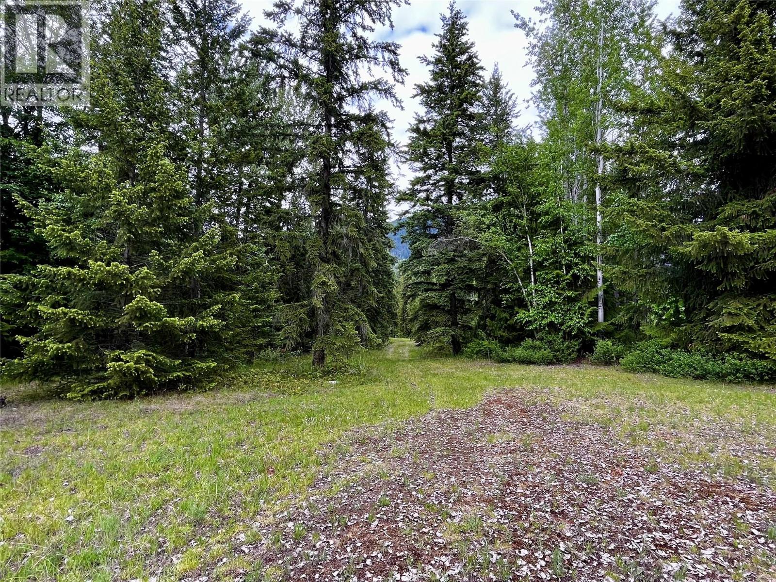 Lot A Mccormack Road, Burton, British Columbia  V0G 1R0 - Photo 61 - 10348053