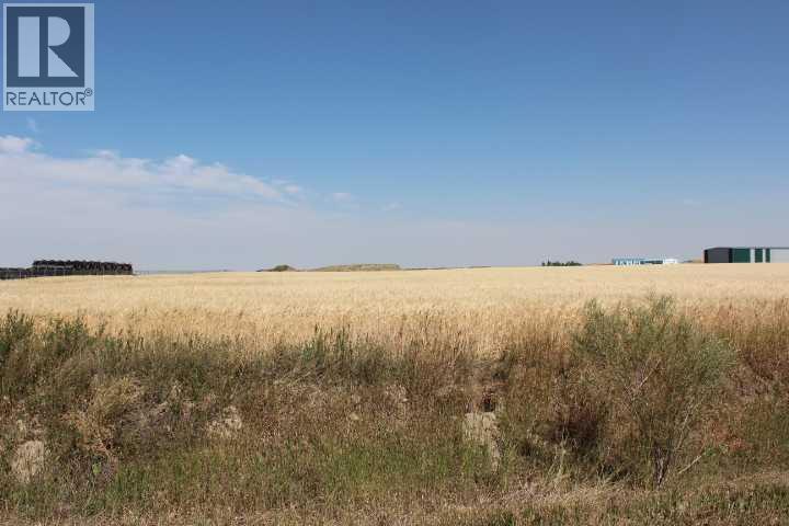 1110 1 Avenue E, Bow Island, Alberta  T0K 0G0 - Photo 3 - A2255189