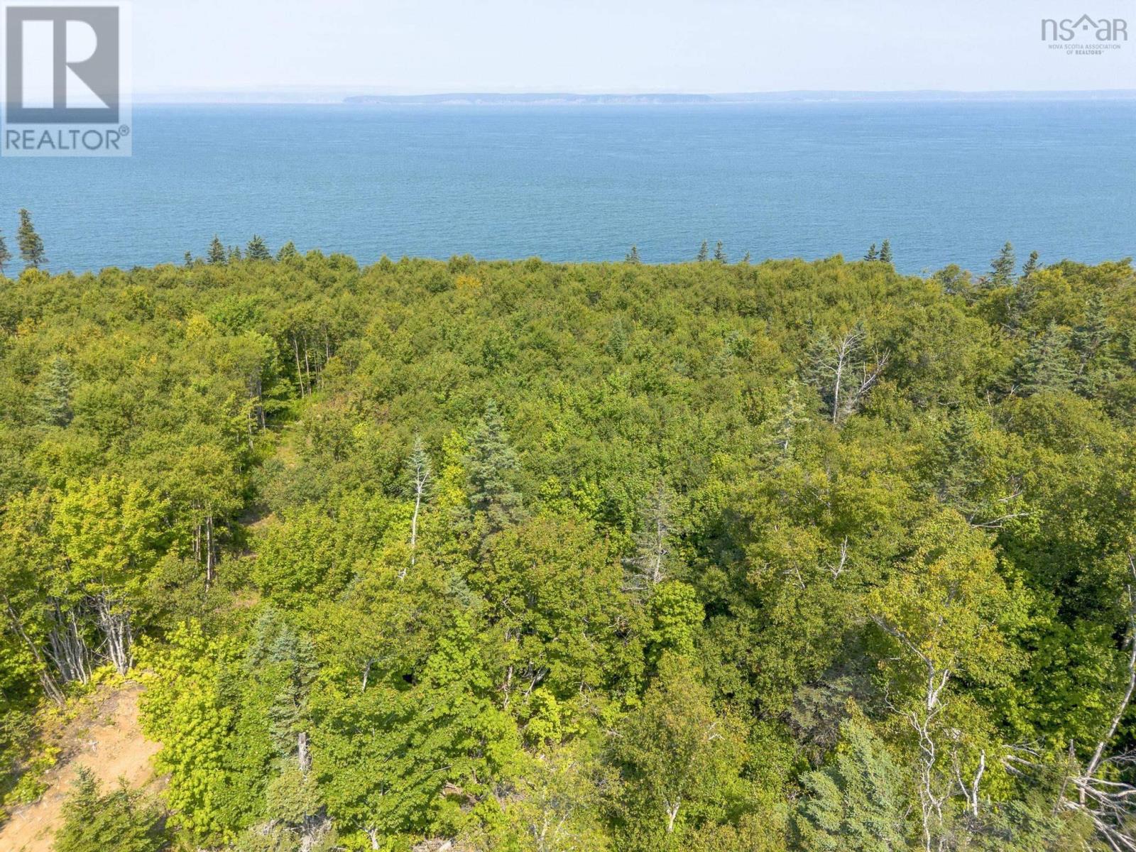 Lot 19 Pelton Mountain Road, Chipman Brook, Nova Scotia  B0P 1J0 - Photo 11 - 202602990