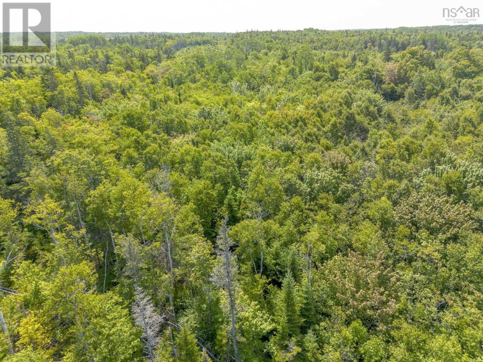 Lot 19 Pelton Mountain Road, Chipman Brook, Nova Scotia  B0P 1J0 - Photo 2 - 202602990