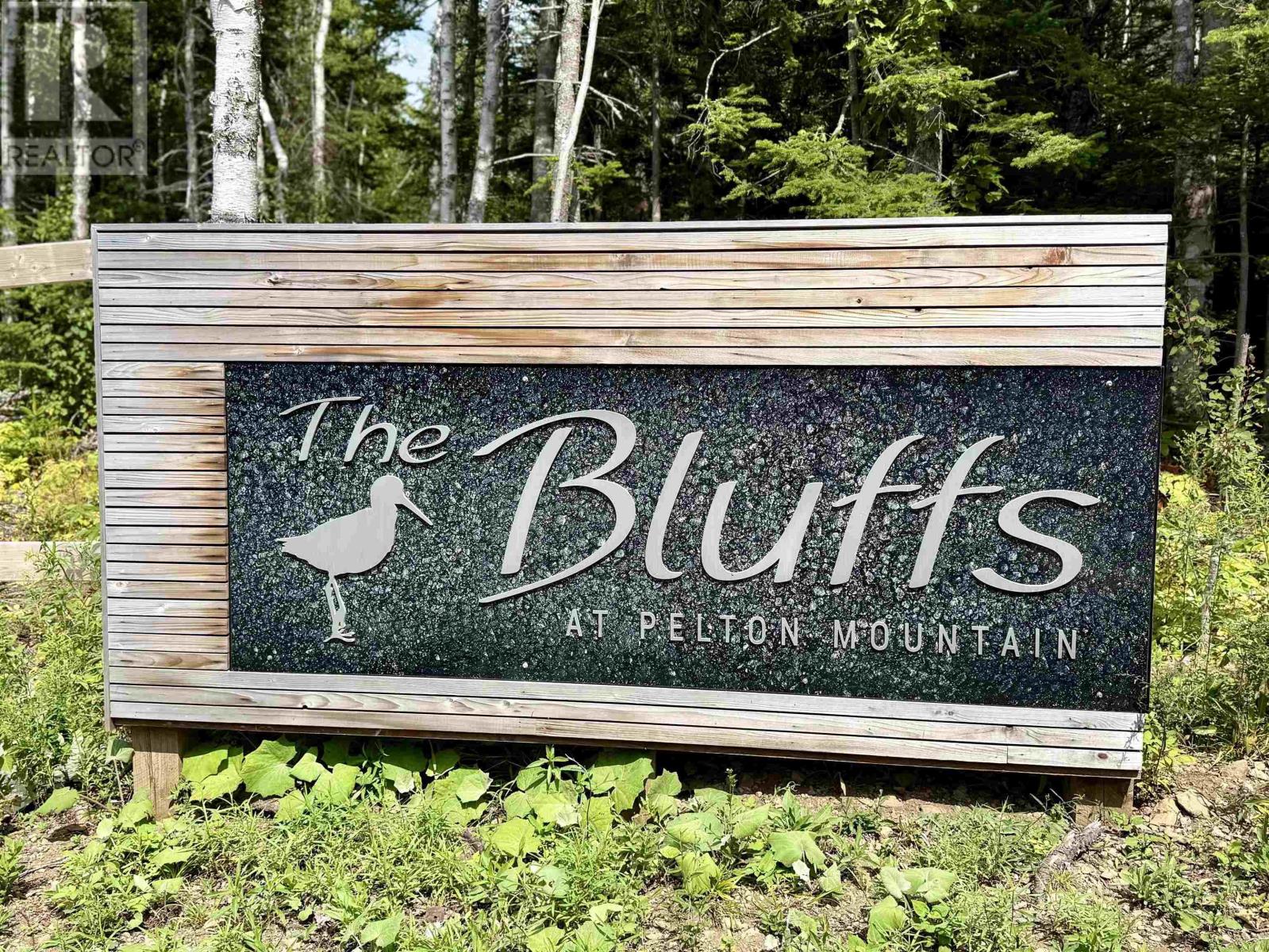 Lot 19 Pelton Mountain Road, Chipman Brook, Nova Scotia  B0P 1J0 - Photo 8 - 202602990
