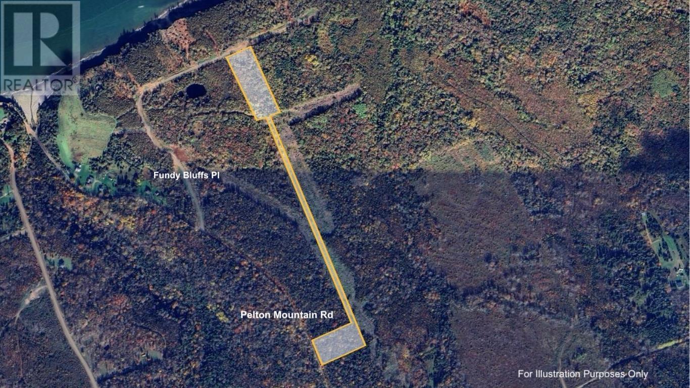 Lot 19 Pelton Mountain Road, Chipman Brook, Nova Scotia  B0P 1J0 - Photo 7 - 202602990