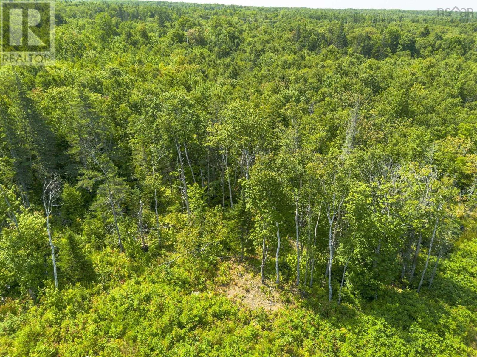 Lot 19 Pelton Mountain Road, Chipman Brook, Nova Scotia  B0P 1J0 - Photo 14 - 202602990