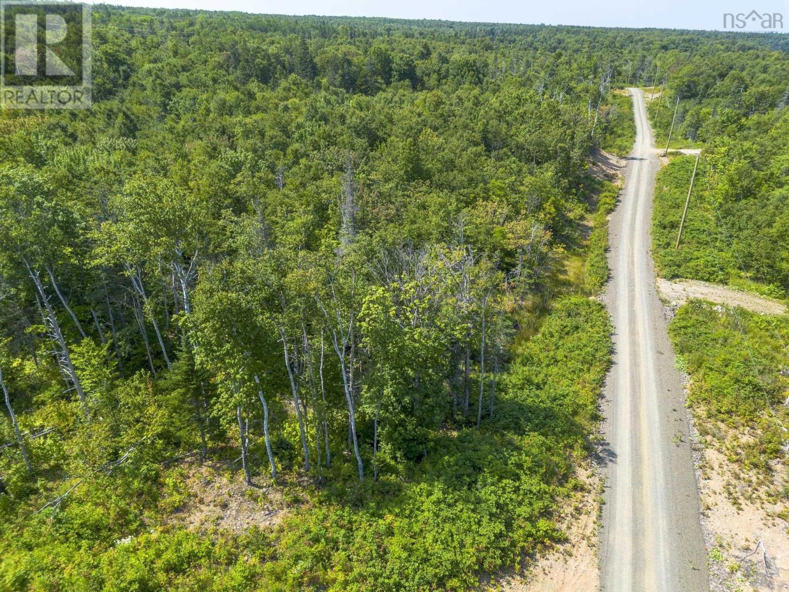 Lot 19 Pelton Mountain Road, Chipman Brook, Nova Scotia  B0P 1J0 - Photo 5 - 202602990