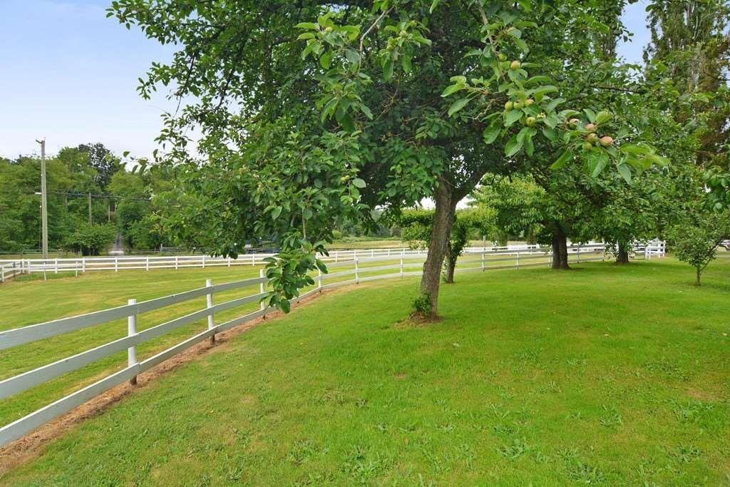1828 248 Street, Langley, British Columbia  V4W 2C3 - Photo 19 - R3141656