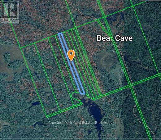 0 0, Muskoka Lakes (Cardwell), Ontario  P0C 1J0 - Photo 1 - X13515360