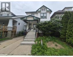 238 BELLEVIEW AVENUE, Windsor, Ontario