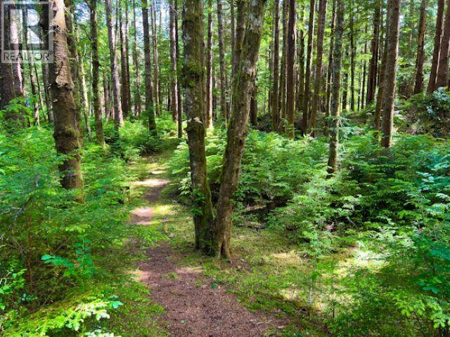 269 Naikoon Place, Masset, British Columbia  V0T 1M0 - Photo 1 - R3142077