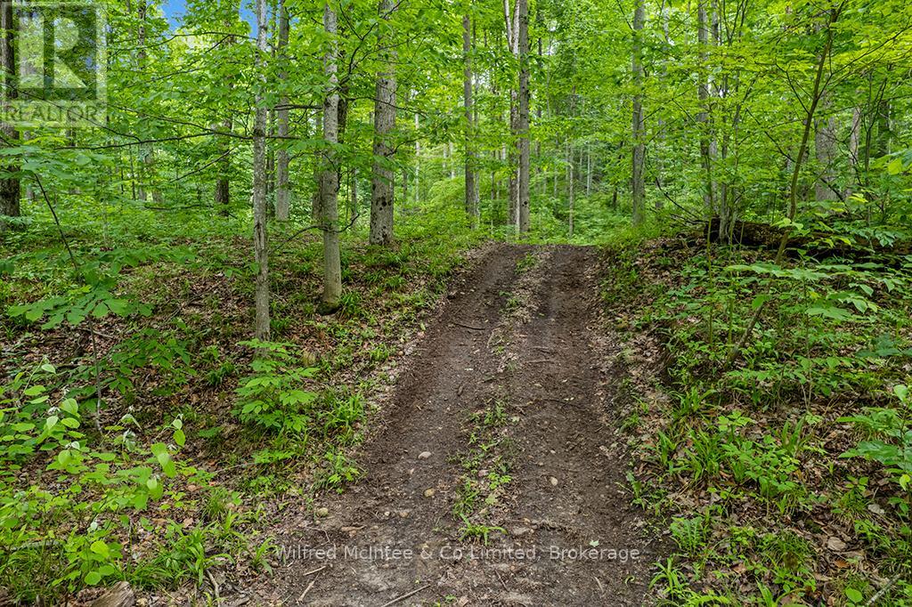 302075 Concession 2 Side Road, West Grey, Ontario  N4N 3B8 - Photo 13 - X13515910