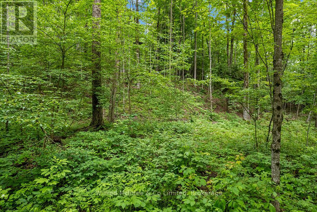 302075 Concession 2 Side Road, West Grey, Ontario  N4N 3B8 - Photo 14 - X13515910