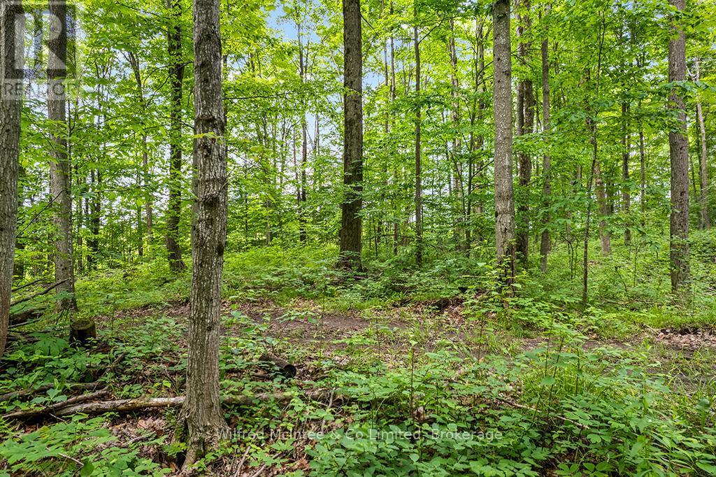 302075 Concession 2 Side Road, West Grey, Ontario  N4N 3B8 - Photo 15 - X13515910