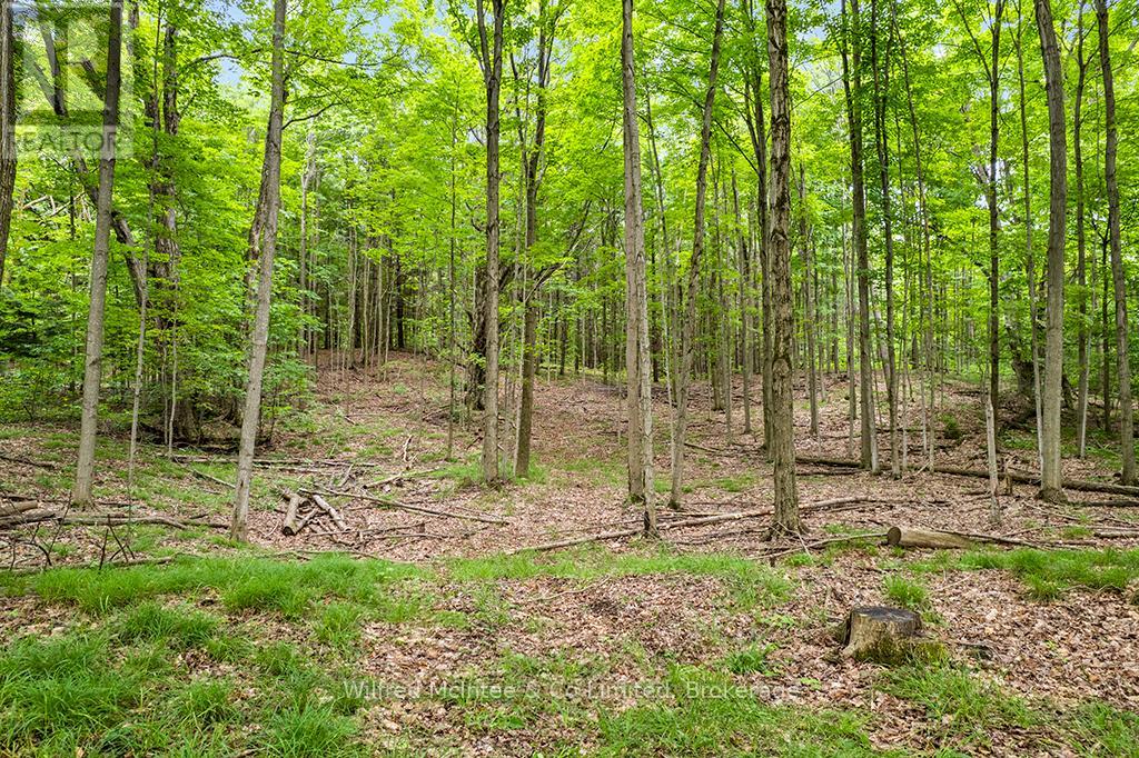 302075 Concession 2 Side Road, West Grey, Ontario  N4N 3B8 - Photo 16 - X13515910