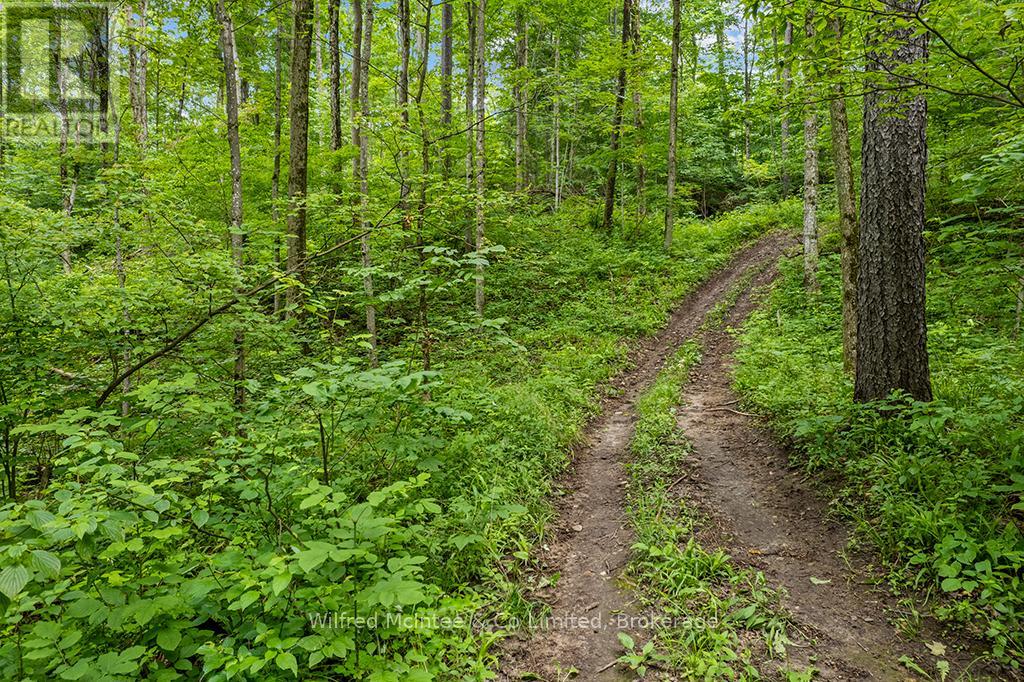 302075 Concession 2 Side Road, West Grey, Ontario  N4N 3B8 - Photo 17 - X13515910