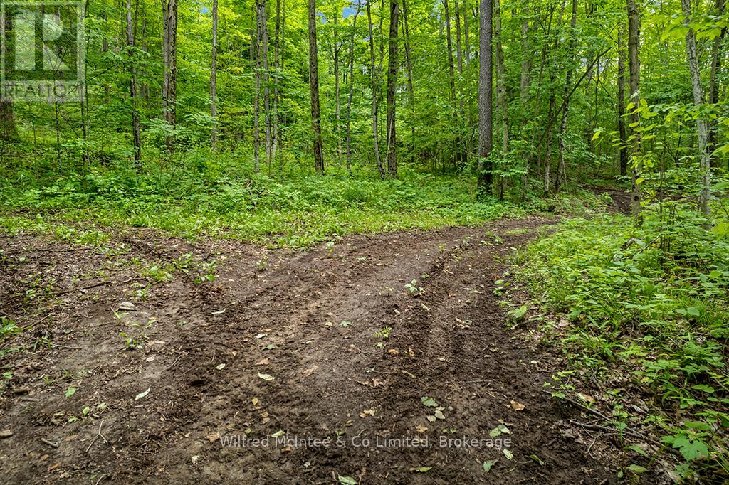 302075 Concession 2 Side Road, West Grey, Ontario  N4N 3B8 - Photo 18 - X13515910
