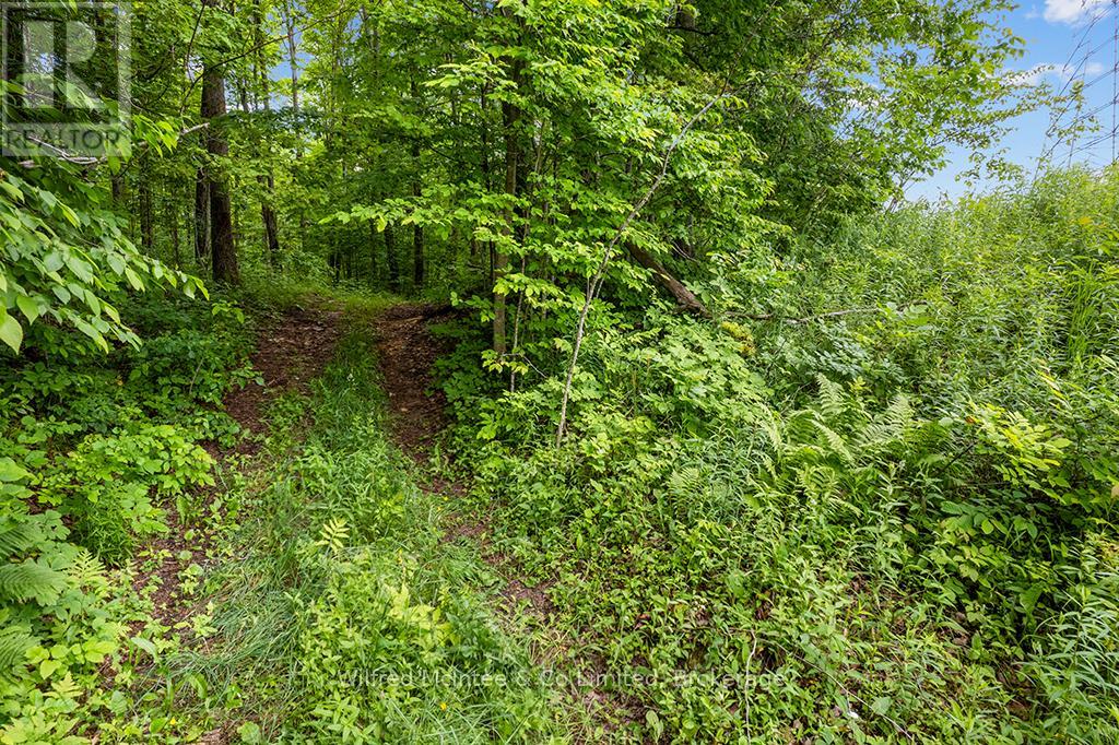 302075 Concession 2 Side Road, West Grey, Ontario  N4N 3B8 - Photo 19 - X13515910