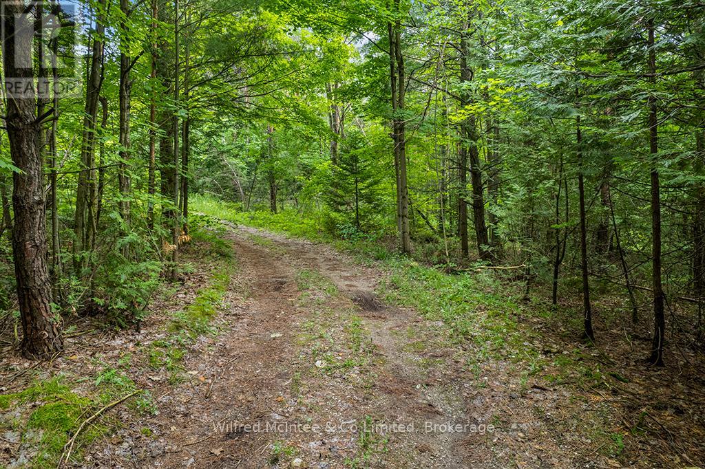 302075 Concession 2 Side Road, West Grey, Ontario  N4N 3B8 - Photo 20 - X13515910