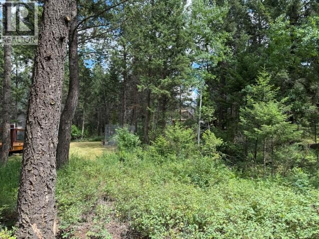 Ridge Way Lot# 114, Windermere, British Columbia  V0B 2L2 - Photo 1 - 10393343