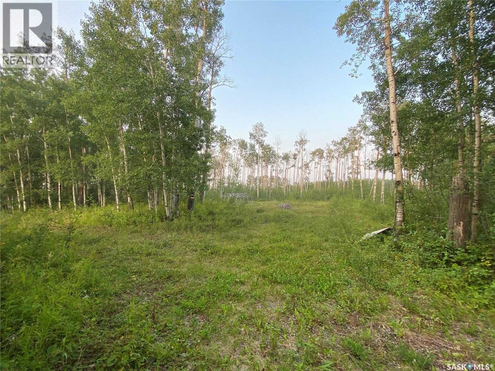 Loiselle Campground, Beaver River Rm No. 622, Saskatchewan  S0M 1A0 - Photo 8 - SK041303