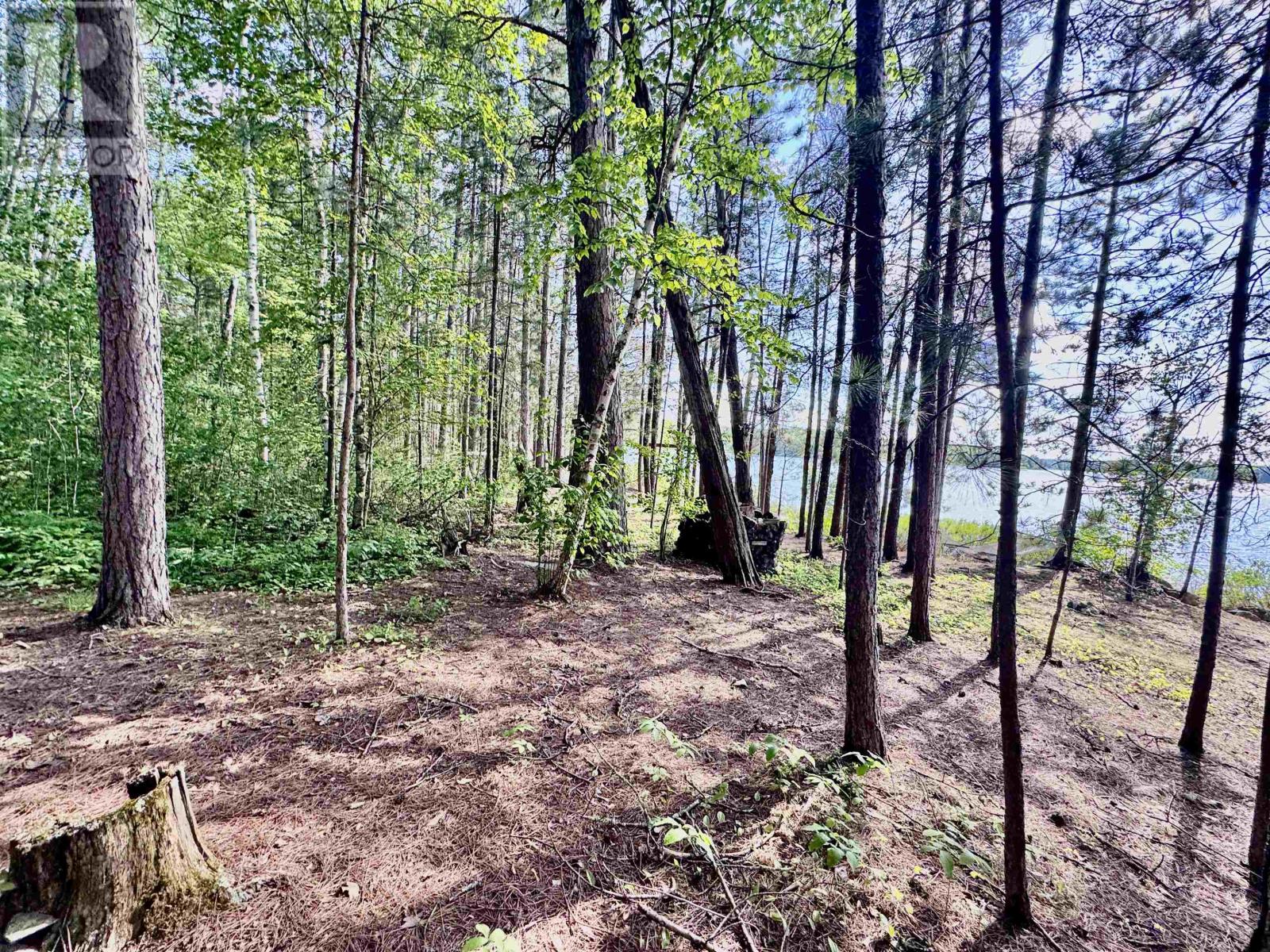 Pcl 25789 Wasaw Rd, Devlin, Ontario  P0W 1C0 - Photo 35 - TB2601774