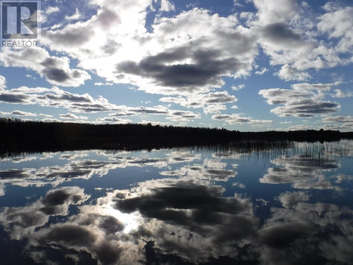 Pcl 25789 Wasaw Rd, Devlin, Ontario  P0W 1C0 - Photo 44 - TB2601774
