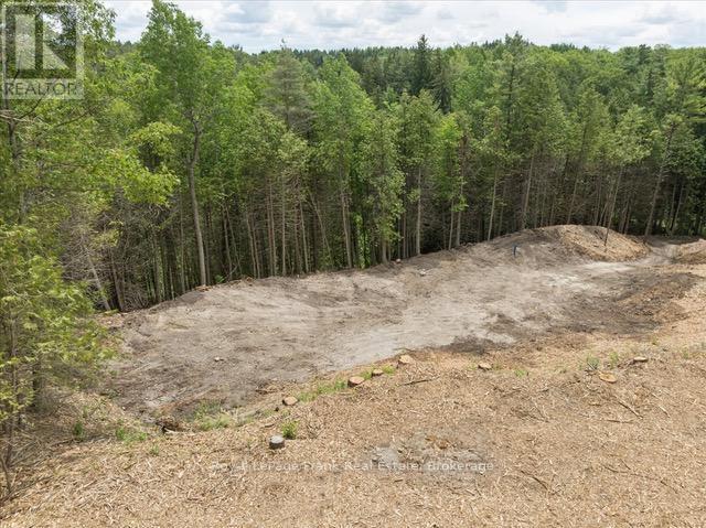 838 Brookdale Road, Uxbridge, Ontario  L9P 1R4 - Photo 3 - N13516306