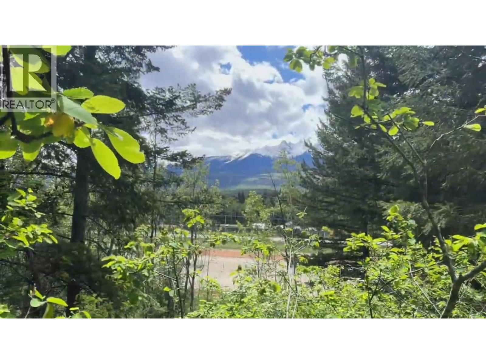 11920 Essen Road, Valemount, British Columbia  V0E 2Z0 - Photo 4 - C8080079