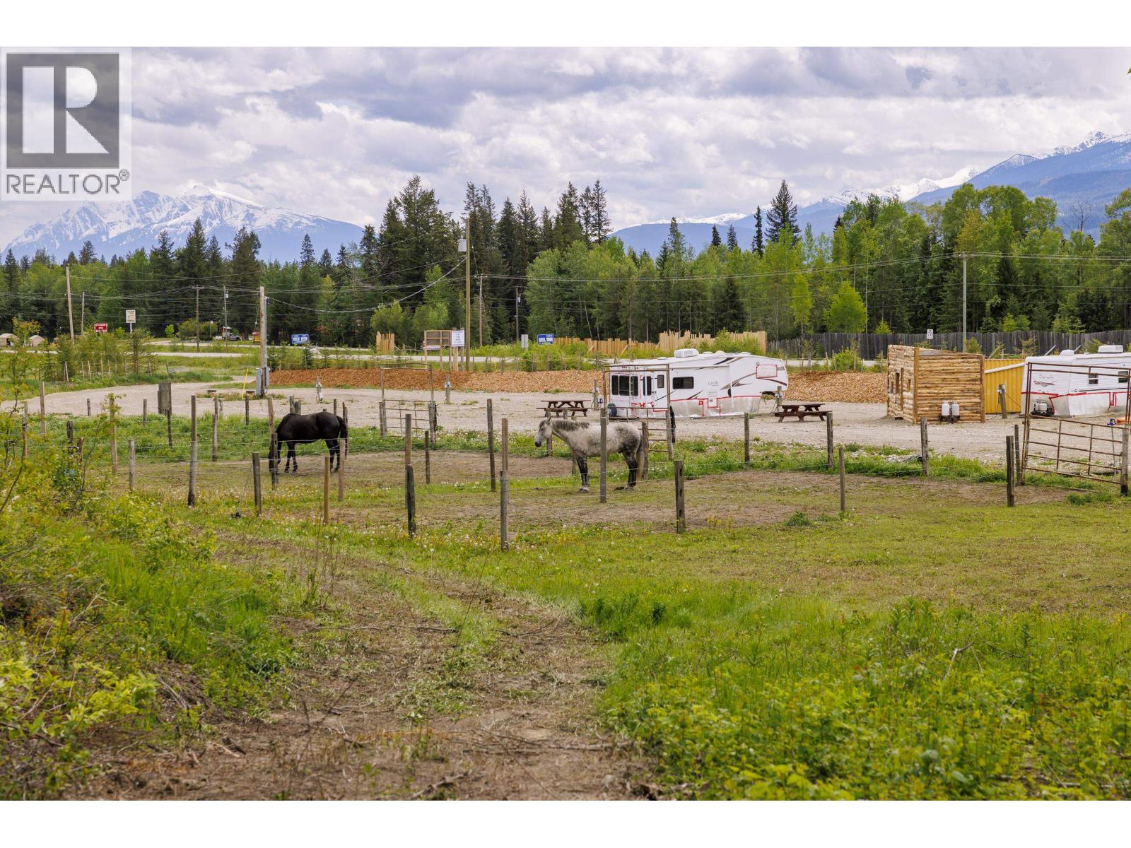 11920 Essen Road, Valemount, British Columbia  V0E 2Z0 - Photo 3 - C8080079
