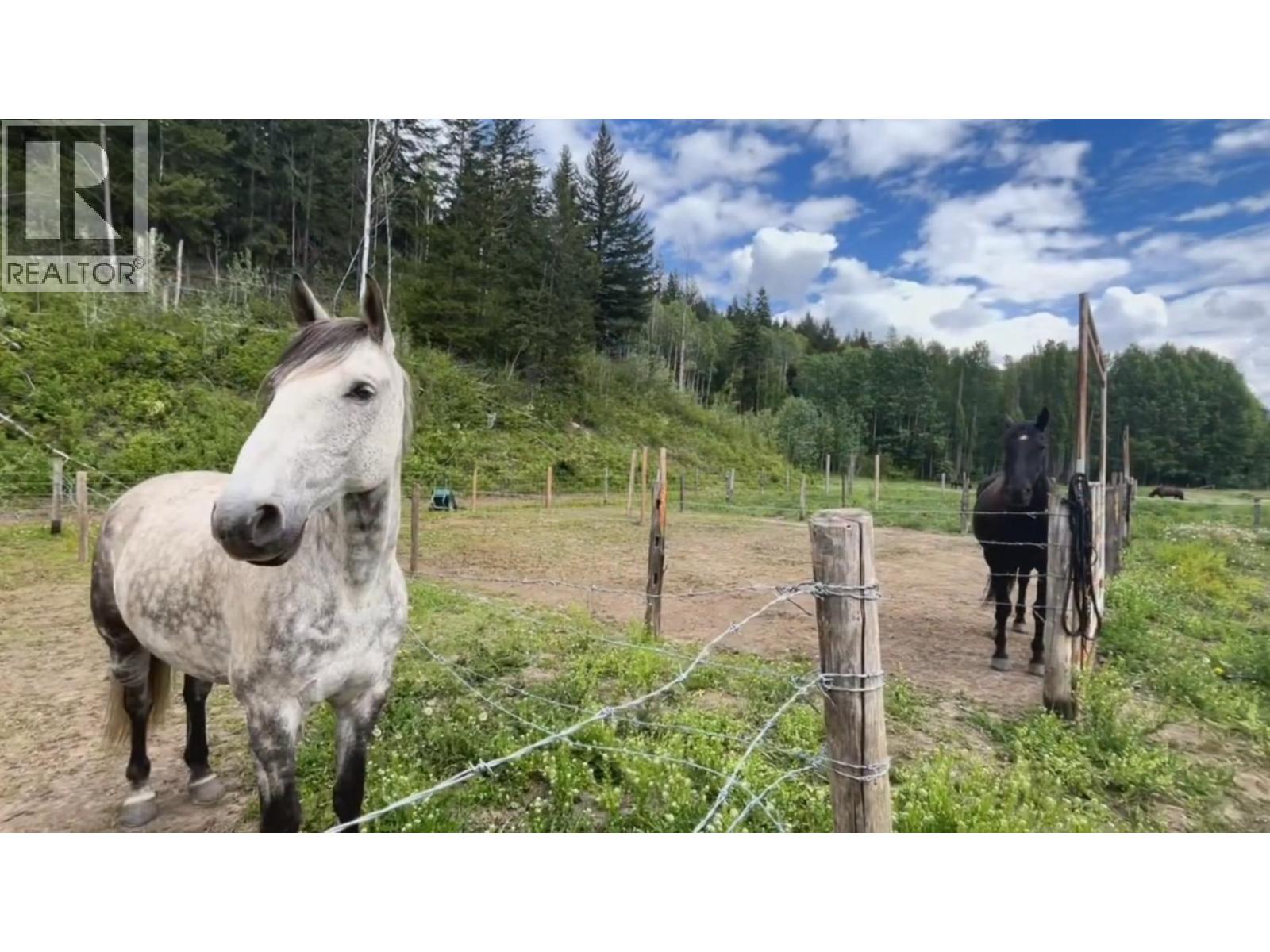 11920 Essen Road, Valemount, British Columbia  V0E 2Z0 - Photo 27 - C8080079