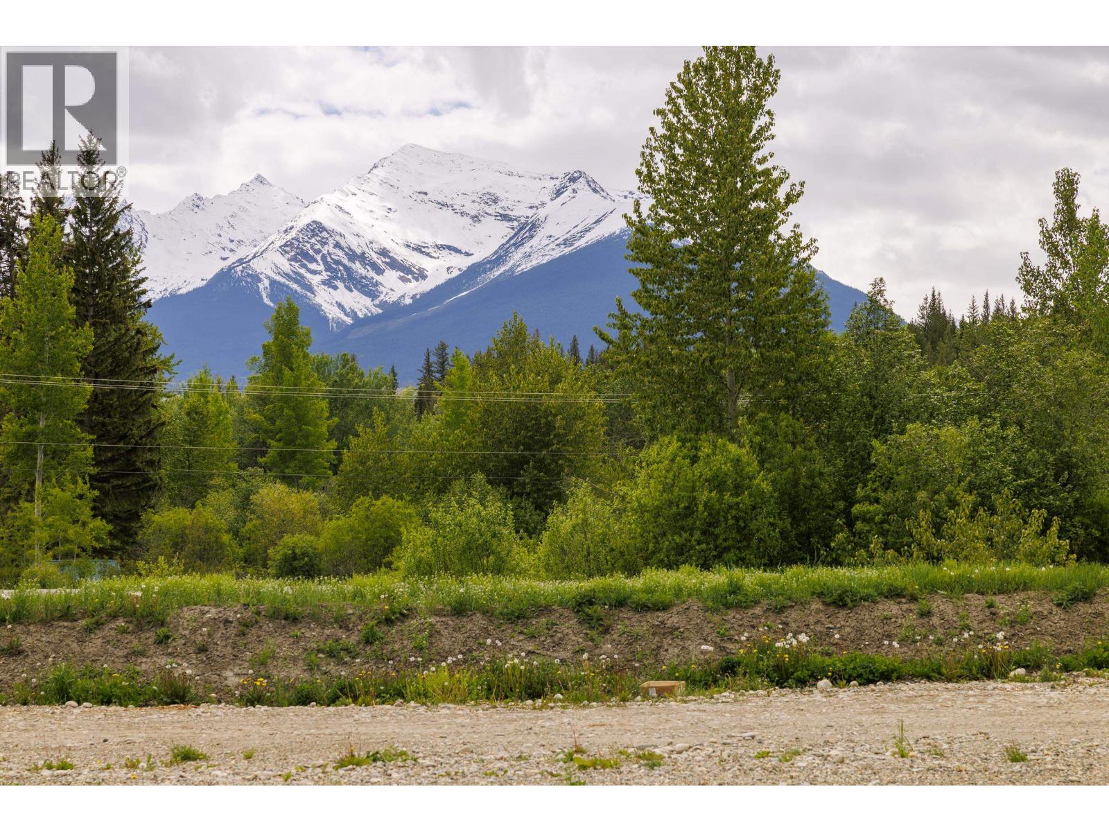 11920 Essen Road, Valemount, British Columbia  V0E 2Z0 - Photo 2 - C8080079