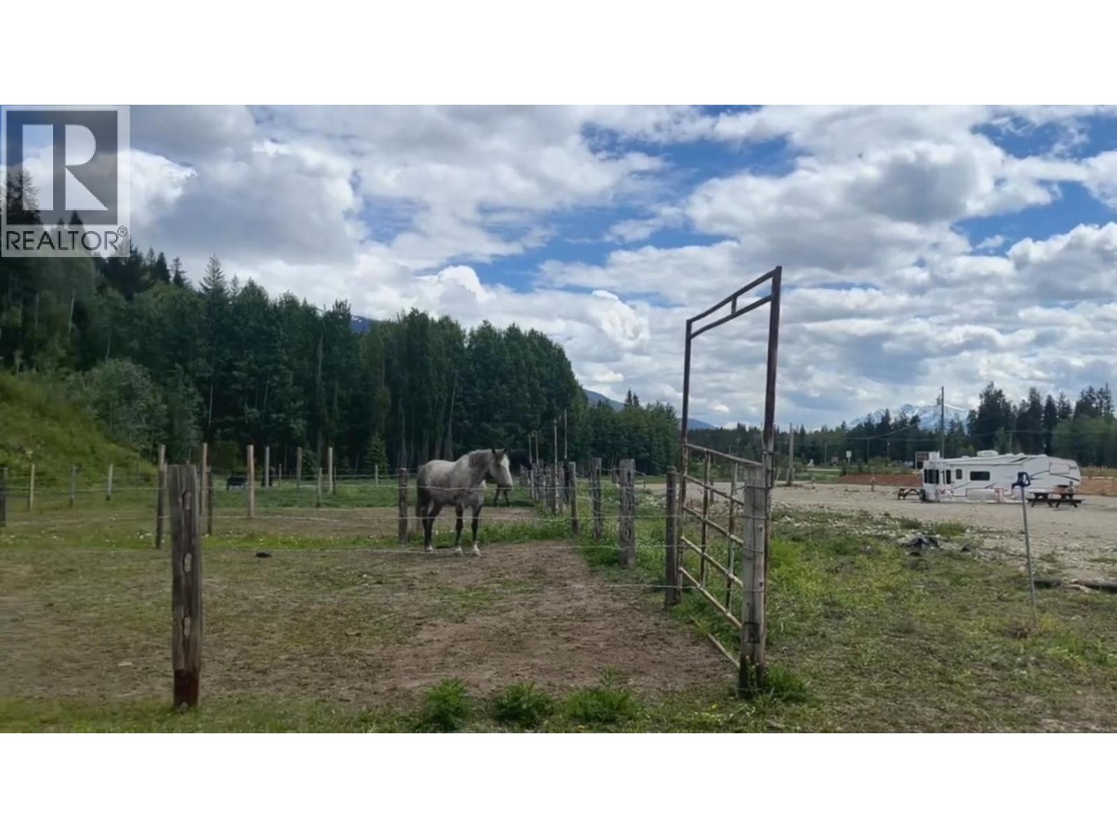 11920 Essen Road, Valemount, British Columbia  V0E 2Z0 - Photo 25 - C8080079