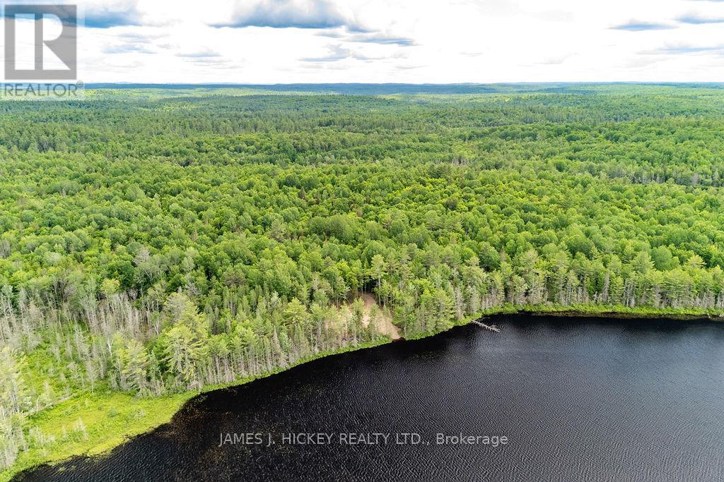 299 Ko Lodge Trail Road, Laurentian Hills, Ontario  K0J 1P0 - Photo 10 - X13516548