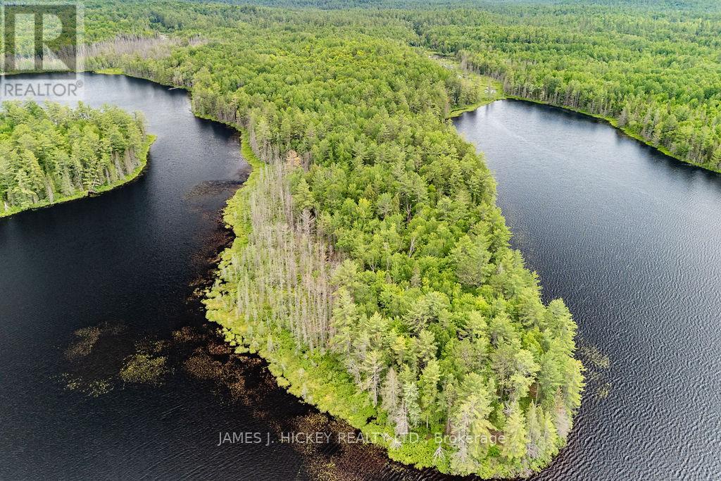 299 Ko Lodge Trail Road, Laurentian Hills, Ontario  K0J 1P0 - Photo 13 - X13516548