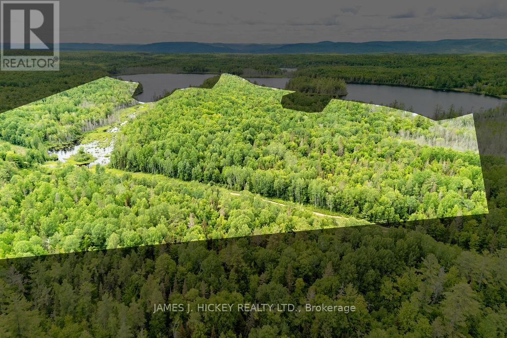 299 Ko Lodge Trail Road, Laurentian Hills, Ontario  K0J 1P0 - Photo 2 - X13516548