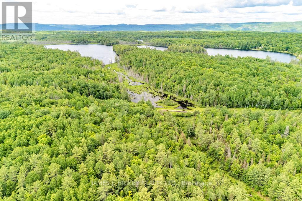 299 Ko Lodge Trail Road, Laurentian Hills, Ontario  K0J 1P0 - Photo 27 - X13516548