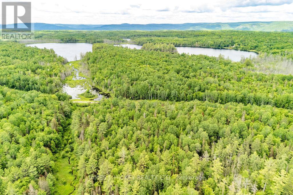 299 Ko Lodge Trail Road, Laurentian Hills, Ontario  K0J 1P0 - Photo 28 - X13516548