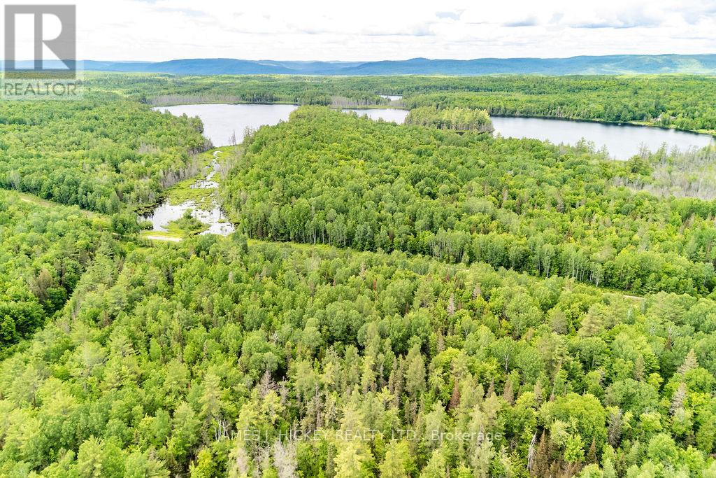 299 Ko Lodge Trail Road, Laurentian Hills, Ontario  K0J 1P0 - Photo 29 - X13516548