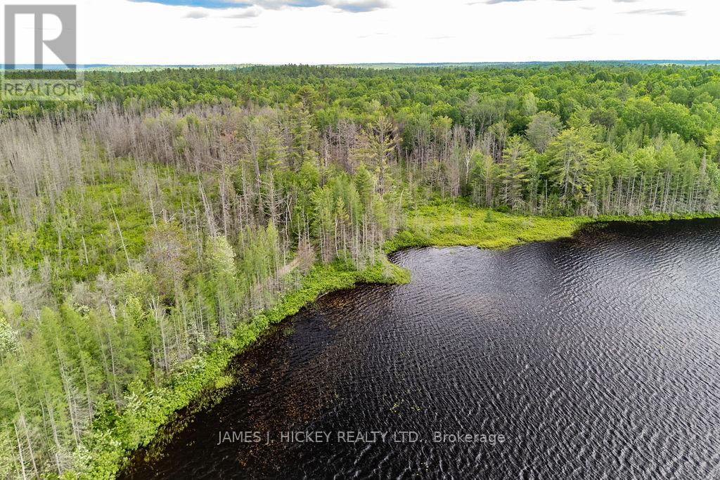 299 Ko Lodge Trail Road, Laurentian Hills, Ontario  K0J 1P0 - Photo 3 - X13516548
