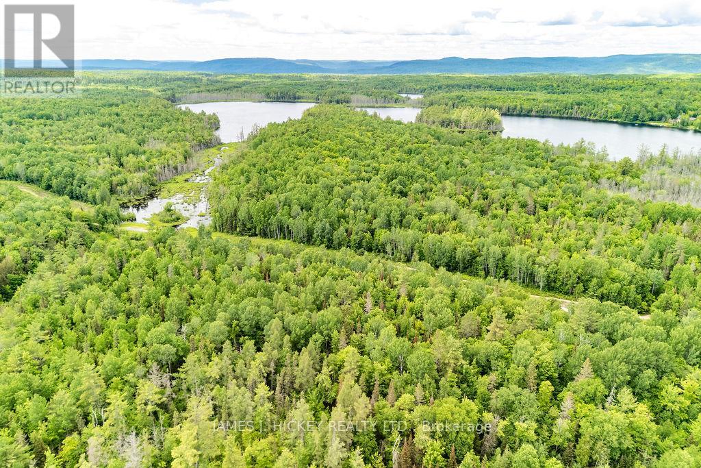 299 Ko Lodge Trail Road, Laurentian Hills, Ontario  K0J 1P0 - Photo 30 - X13516548