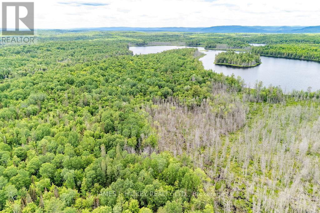 299 Ko Lodge Trail Road, Laurentian Hills, Ontario  K0J 1P0 - Photo 36 - X13516548