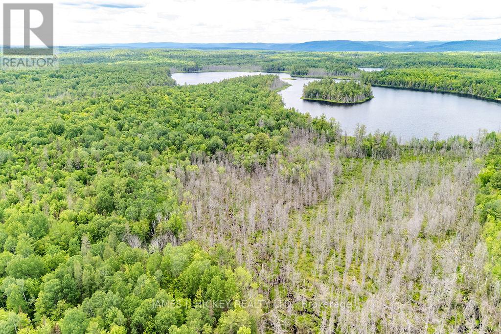 299 Ko Lodge Trail Road, Laurentian Hills, Ontario  K0J 1P0 - Photo 37 - X13516548