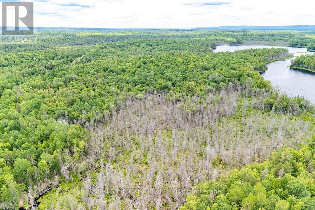 299 Ko Lodge Trail Road, Laurentian Hills, Ontario  K0J 1P0 - Photo 38 - X13516548