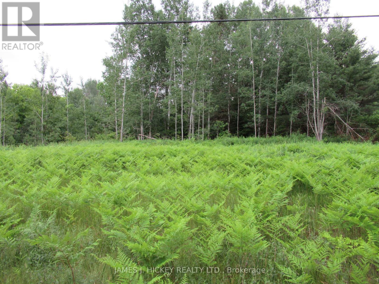 PT LOT 48, RANGE B HWY 17 HIGHWAY, Laurentian Hills, Ontario