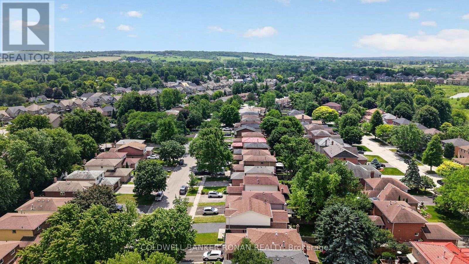 92 Daniele Avenue N, New Tecumseth, Ontario  L0G 1A0 - Photo 40 - N13516702