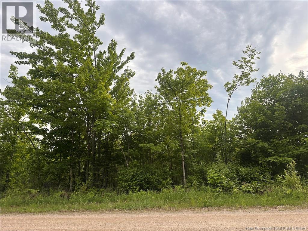 Lot Tay Falls Road, Woodlands, New Brunswick